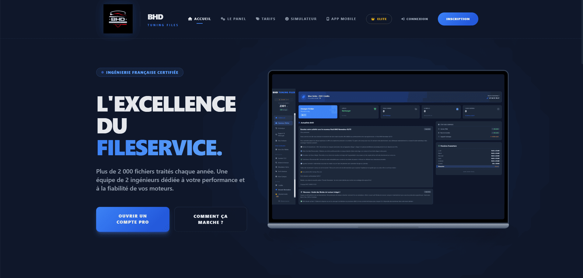 Aperçu du site BHD Tuning Files